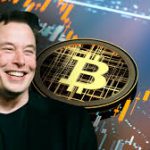 Elon Musk Coin ($MUSK) The Ultimate Meme Token Tribute Gallery Image